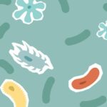 Let’s Talk About Your Gut (Because It’s Kinda Running the Show) 