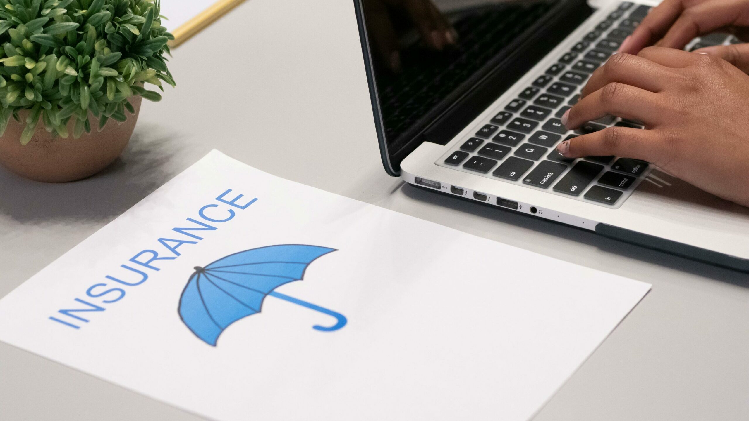 The rise of pet insurance in America: what coverage really matters