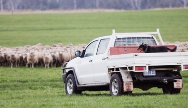 Discover Affordable Rent to Own Pickup Trucks: Your Pathway to Vehicle Ownership in 2026