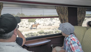 Brisbane to Adelaide Train Tour Packages for Seniors: Relax and Explore in Comfort