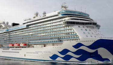 Cruises from Melbourne to Auckland 2026: New Zealand Voyage Routes, Cruise Ships and Tasman Sea Travel Experience
