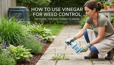 How to Use Vinegar for Weed Control