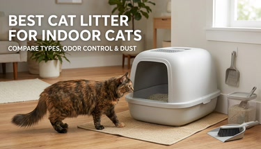Best Cat Litter for Indoor Cats: What to Know