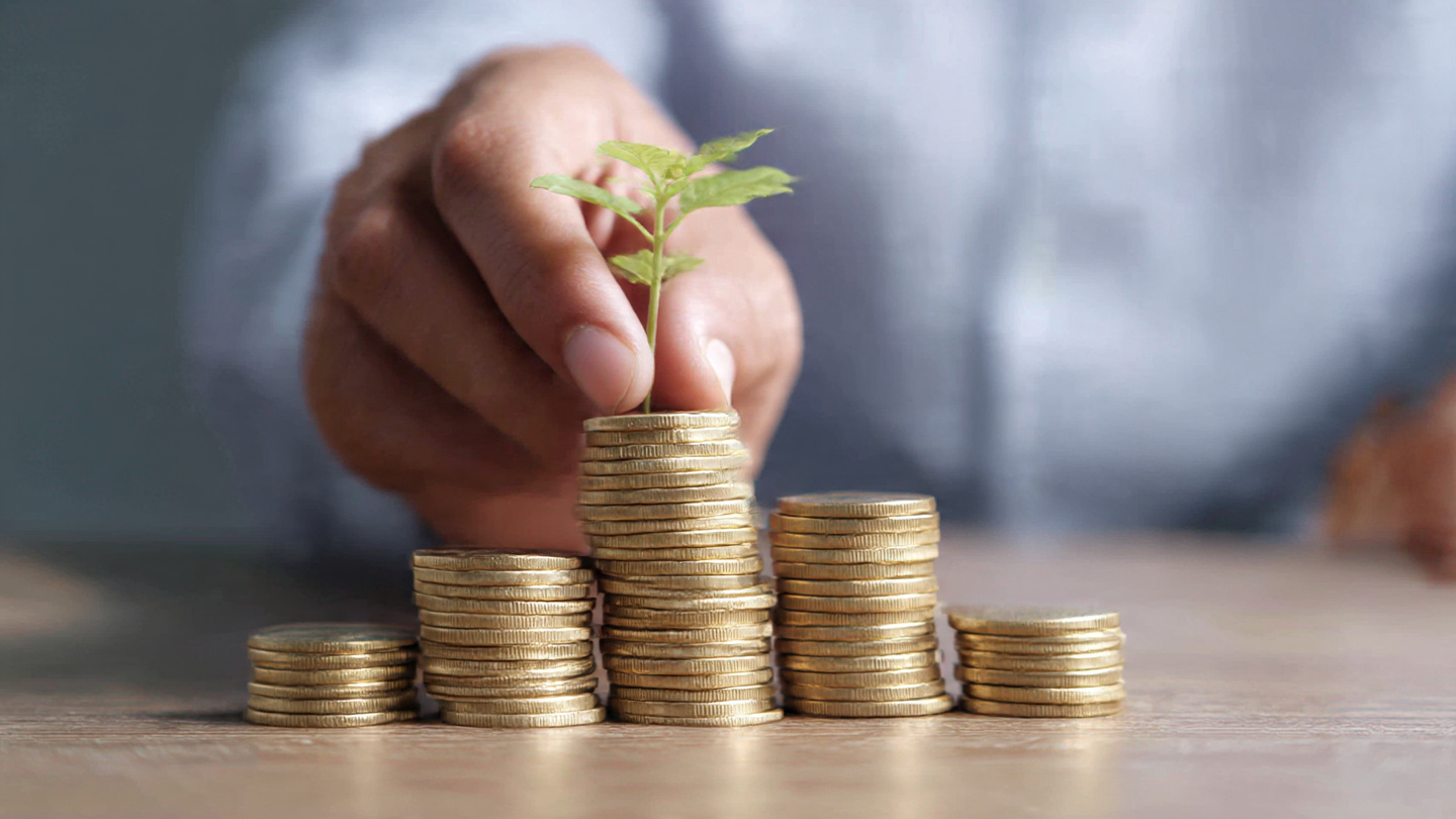 Investing for Beginners: How to Build Wealth with Low Risk