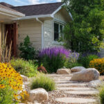 Landscape Design on a Budget: DIY Plans, Native Plants, and Cost Savings