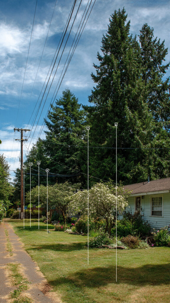 Tree removal cost comparison by tree size and location near a house.