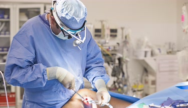 10 Best Knee Replacement Surgeons in the USA